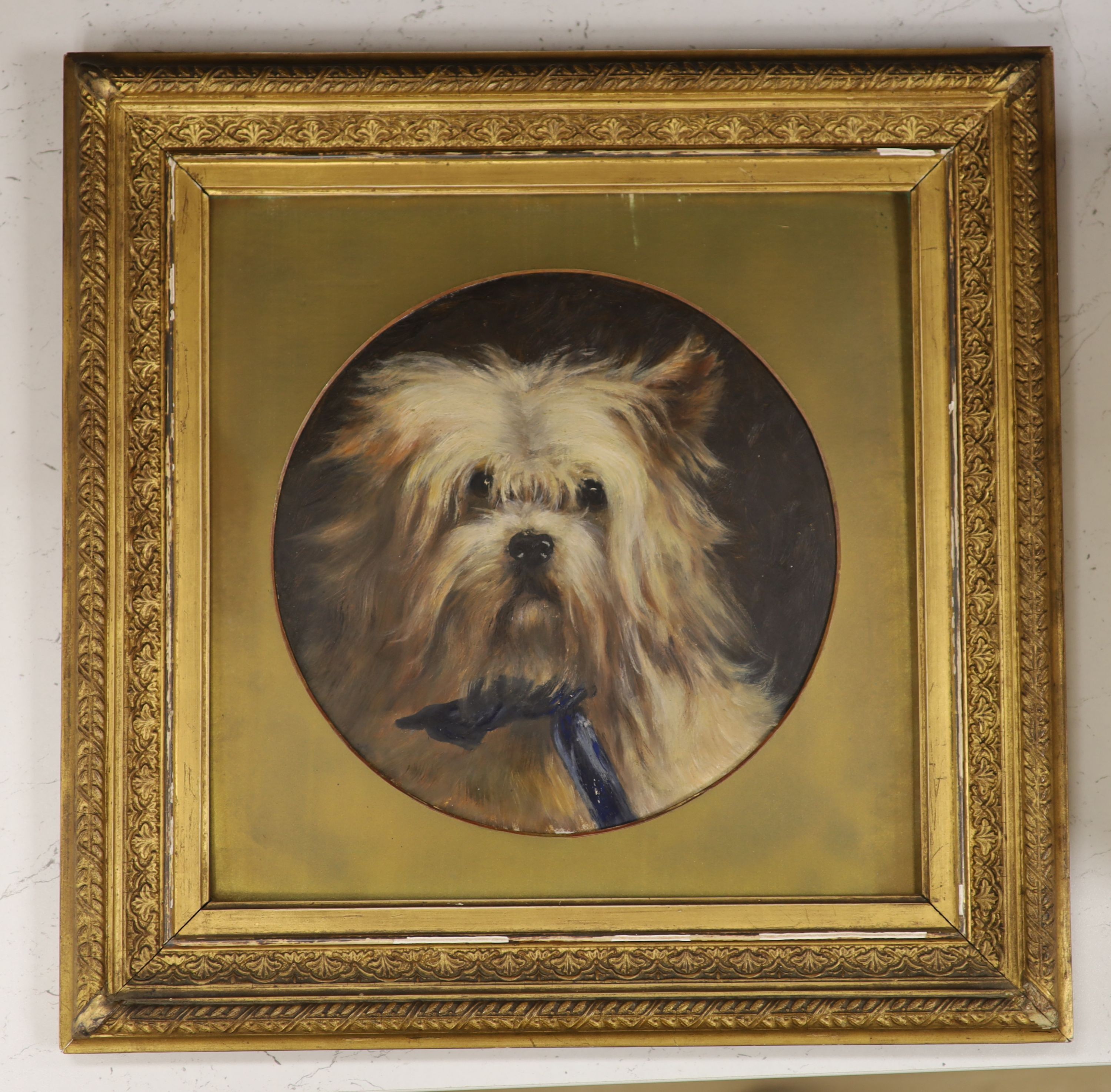 English School, early 20th century, oil on board, Terrier, tondo, 24cm.